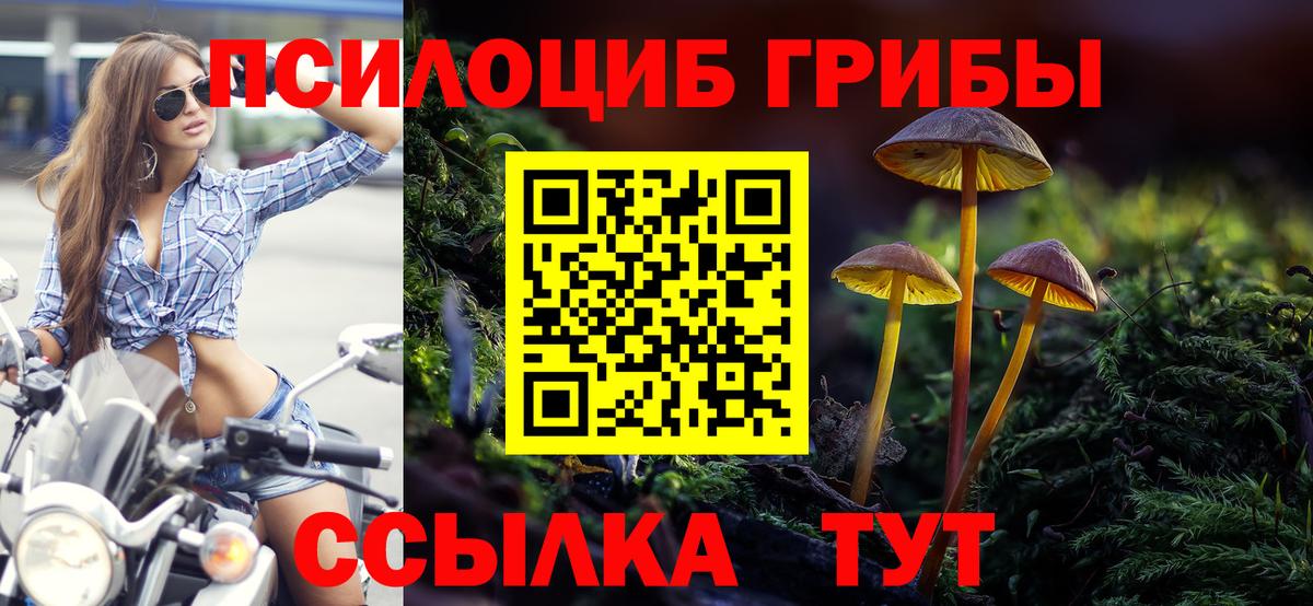 Галлюциногенные грибы Magic Shrooms  Вход с VPN  Боровичи  Псилоцибиновые грибы Magic Shrooms 